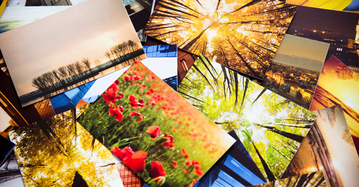 Various brightly-lit photographs of nature. 